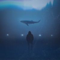 whale