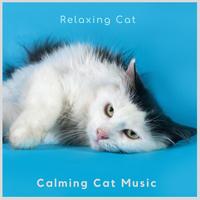 Relaxing Cat