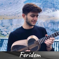 Feridem