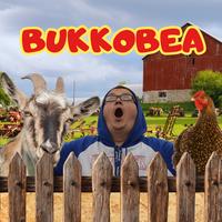 Bukkobea