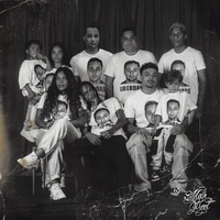 Lei Anti O.R.U.A.M