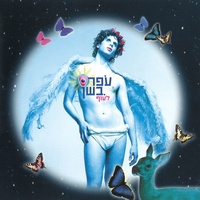 איפה אתם יא הומואים ?!