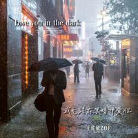 Love you in the dark(我无法在黑暗中爱你)