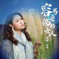 容易受伤的女人 - DJ赵允哲版