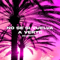 No Se Si Vuelva A Verte (Guaracha)