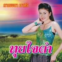 ทุยใจดํา