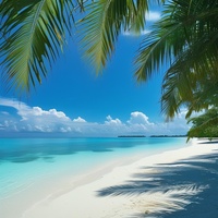 Paradise