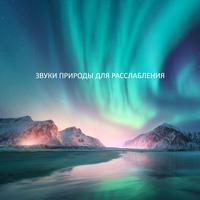 Медитация Звуки Природы
