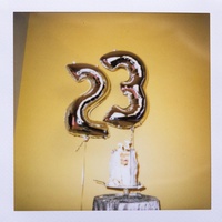 23