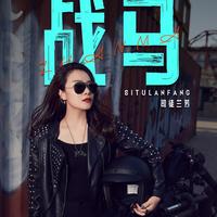 战马 - Live合唱版
