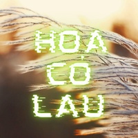 Hoa Cỏ Lau - Tina Cover