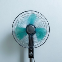 Dipgaon Long Call After a Long Silence