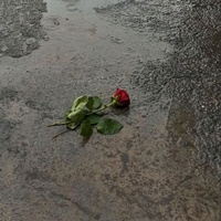 la pluie