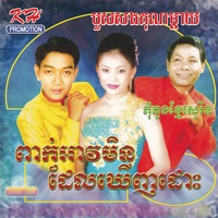 ទឹកភ្នែកបងស្រក់