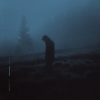 voices in my head