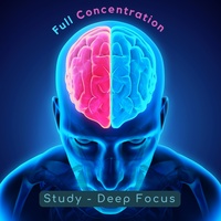 Full Concentration 12
