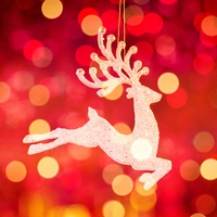 Luces Navideñas