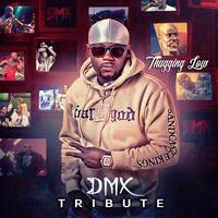 DMX Tribute