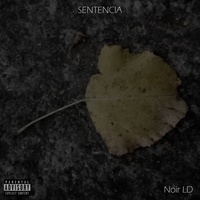 Sentencia