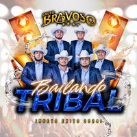 Bailando Tribal