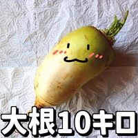 Radish 10kg