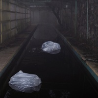 Plagued By Meaning
