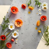 Beauty Finds Its Way