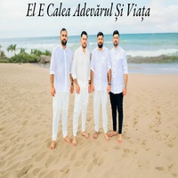 El E Calea Fratii Din Bacesti