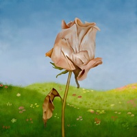 Unrosed