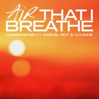 Air That I Breathe (feat. x.o.anne)