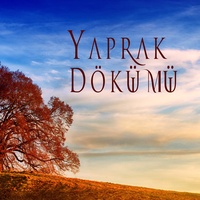 Yaprak Dökümü - Duygusal Enstrümantal