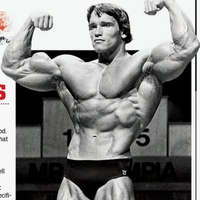 Schwarzenegger Motivation