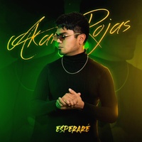 Esperaré