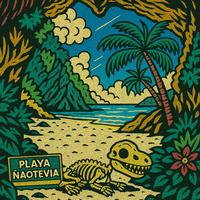 PLAYA ÑAOTEVIA
