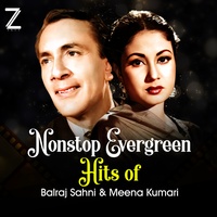 Do Sitaron Ka Zameen Par