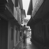 เพียงฤดูความเสียใจ