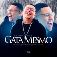 Ela Sabe Que Ela É Gata Mesmo