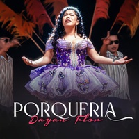 Porqueria