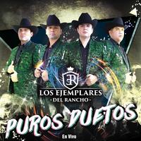 Nunca Tire La Toalla - En Vivo