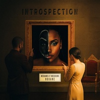 Introspection
