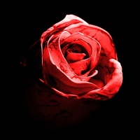 Romantic Homicide - Live Version