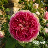 오늘이 참 좋다