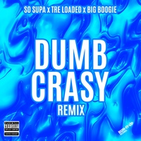Dumb Crasy - Remix
