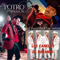 El Picho - En Vivo Desde Las Tapias