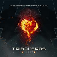 El Cascabel (Tribal)