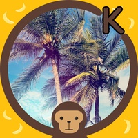 OK  (Irreplaceable Remix Version (Inst.)) - Inst.