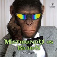 Misturando Os Bichos (Funk Remix)
