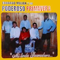 Los  Vagos Guaracheros