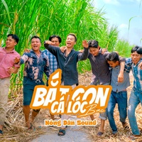 Bắt Con Cá Lóc