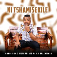 Ntshamisekile